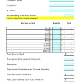 Cash Reconciliation Form