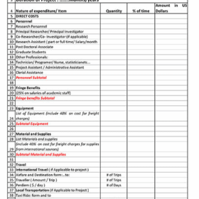 Fillable Marketing Budget Sample