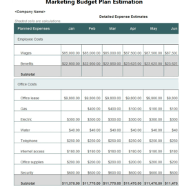 Marketing Budget Plan Estimation Template