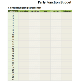 Party Function Budget Template