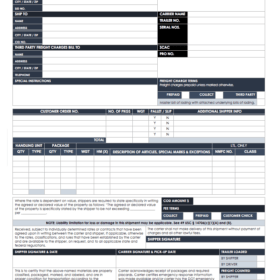 Bill of Lading Template Word