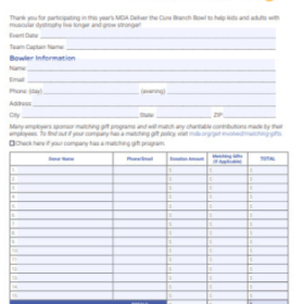 Blank Donation Log Template