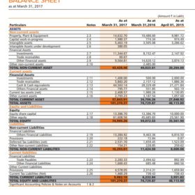 Company Profit Sheet Template PDF