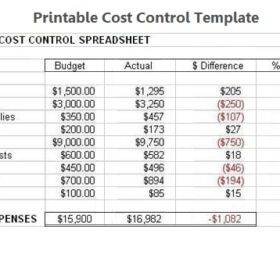 Printable Cost Control Template