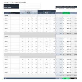 Project Cost Control Format