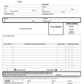 Standard Bill of Lading Template