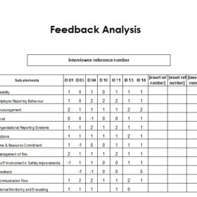 Feedback Analysis Format