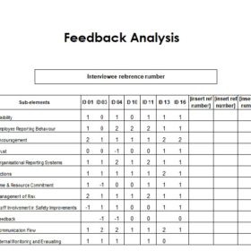 Feedback Analysis Format