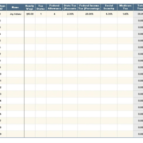 Hourly Salary Paycheck Calculator Format