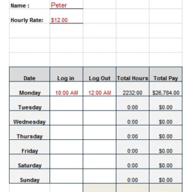 Net Paycheck Calculator Example