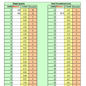 Professional Baby Growth Chart Template