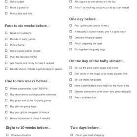 Professional Baby Shower Planner Template