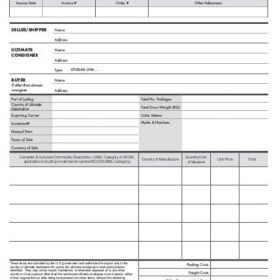 Export Commercial Invoice Template