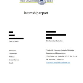 internship report blank template sample