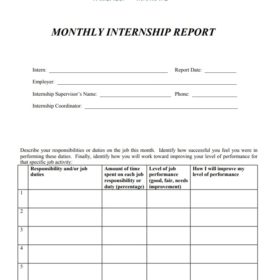 Monthly Internship Report Template