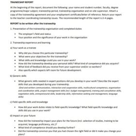 report internship sample template trainee ship