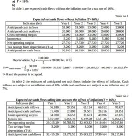 Investment Inflation Calculator Template