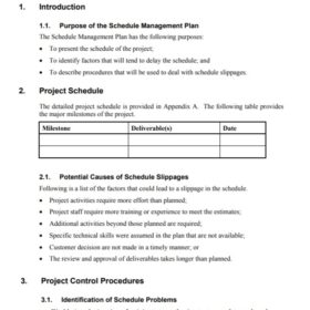 Project Management Schedule Planning Template