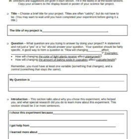 Science Fair Project Worksheet Template